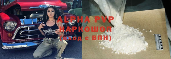 стаф Алзамай