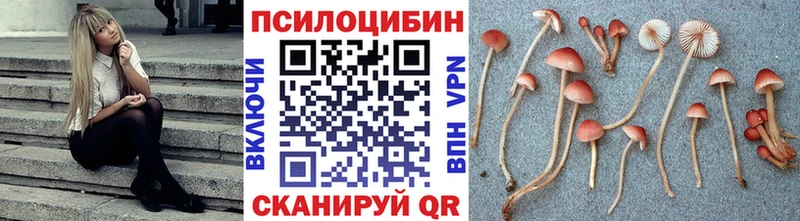 Псилоцибиновые грибы мухоморы  mega вход  Самара 